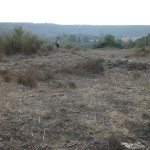 CIMG7282