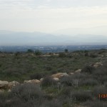 CIMG7502