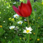 CIMG0004